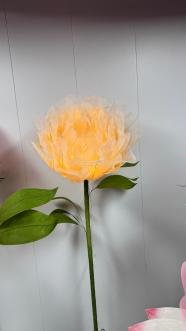 Electric Lotus · Pure White