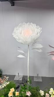 White Peony sample