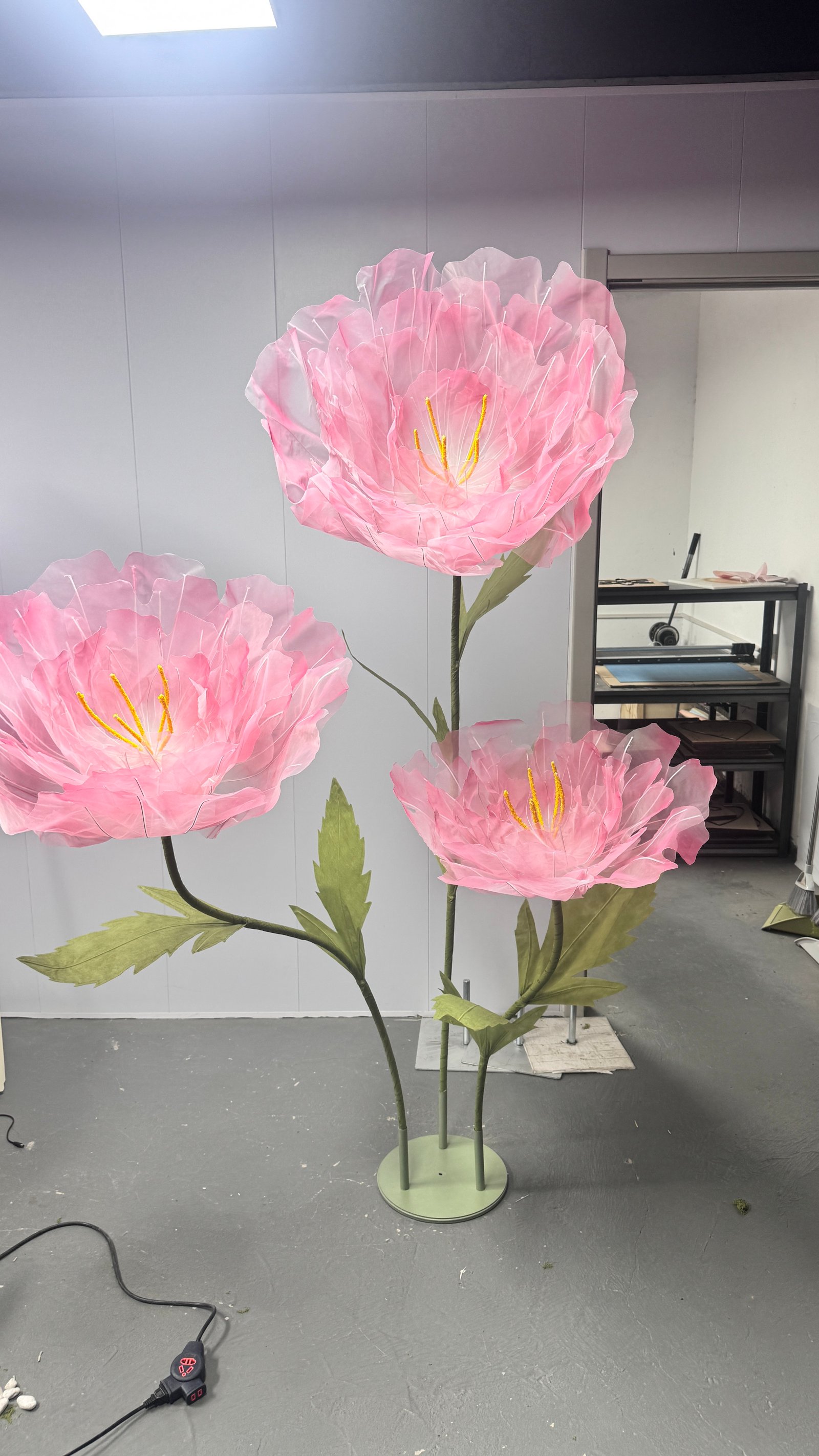Pink Peony sample